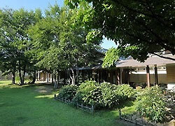 おぶせミュージアム・中島千波館