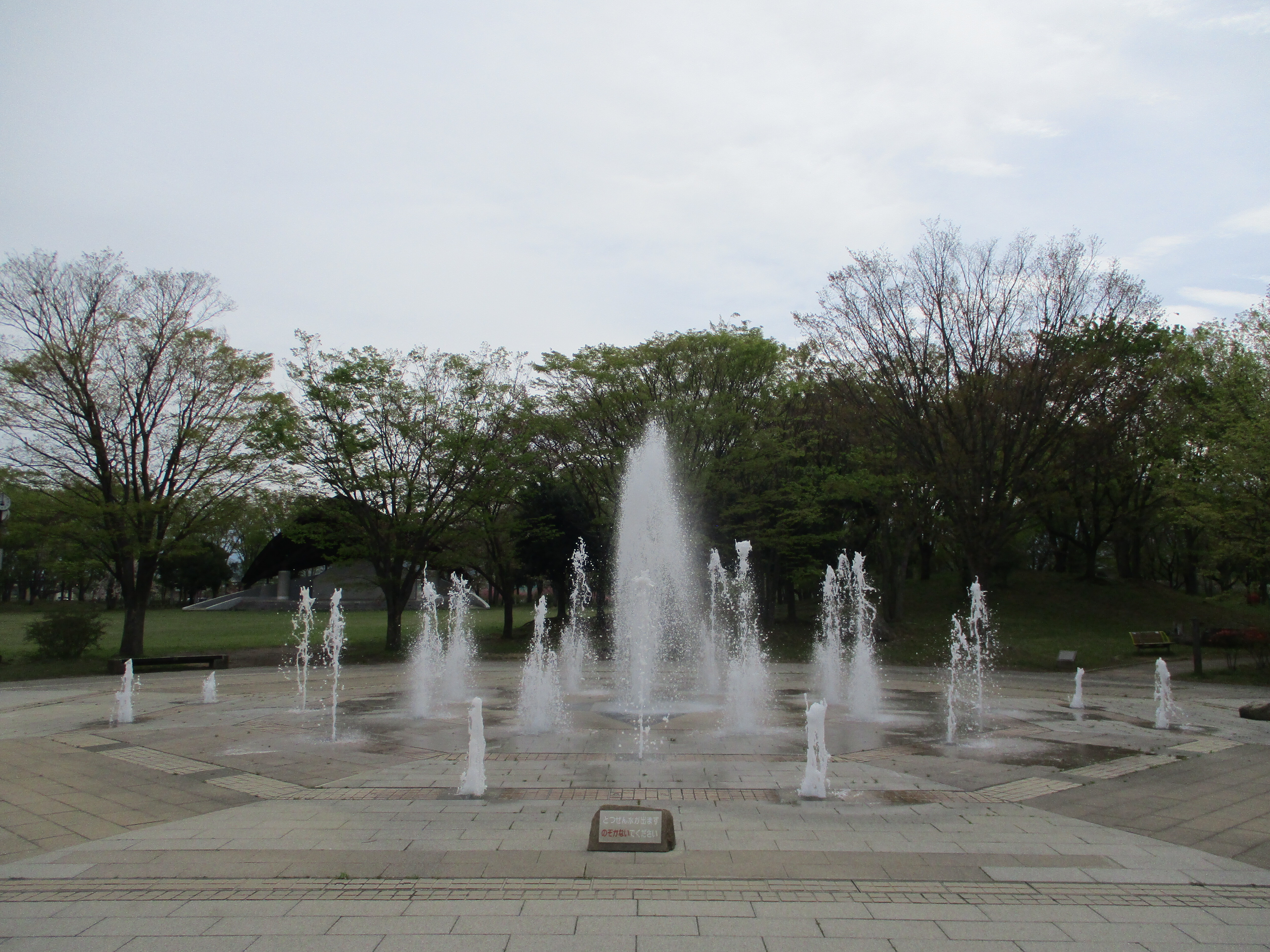 IMG_4665.JPG