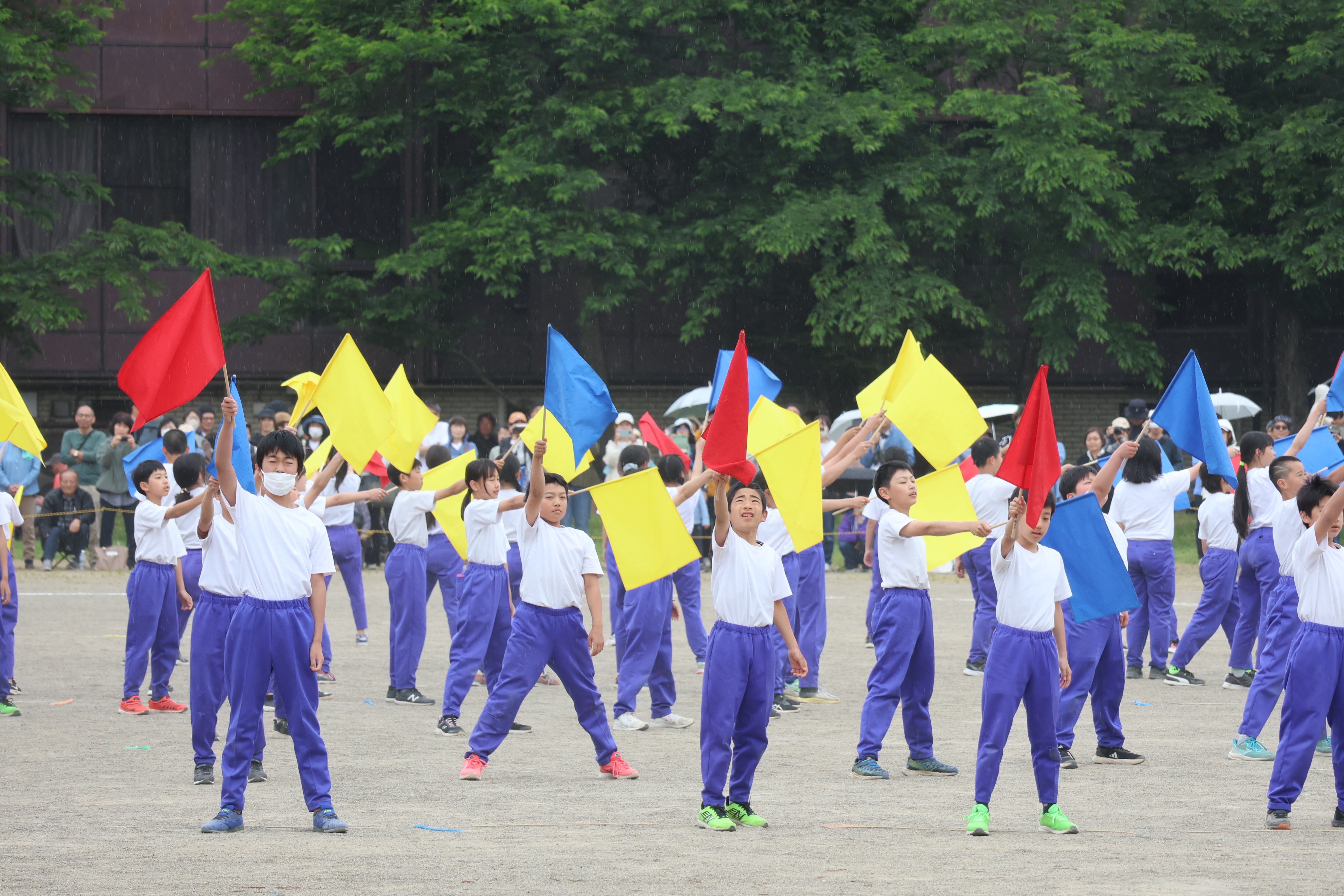 ライナー_運動会IMG_0810.JPG