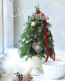 cleanedシンプル　写真　クリスマス　お菓子　カフェ　お知らせ　Instagramの投稿.zip 1.PNG
