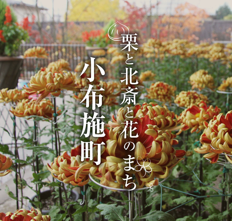 スマートフォン用小布施町ロゴ画像（巴錦）