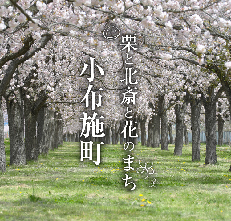 スマートフォン用小布施町ロゴ画像（桜並木）