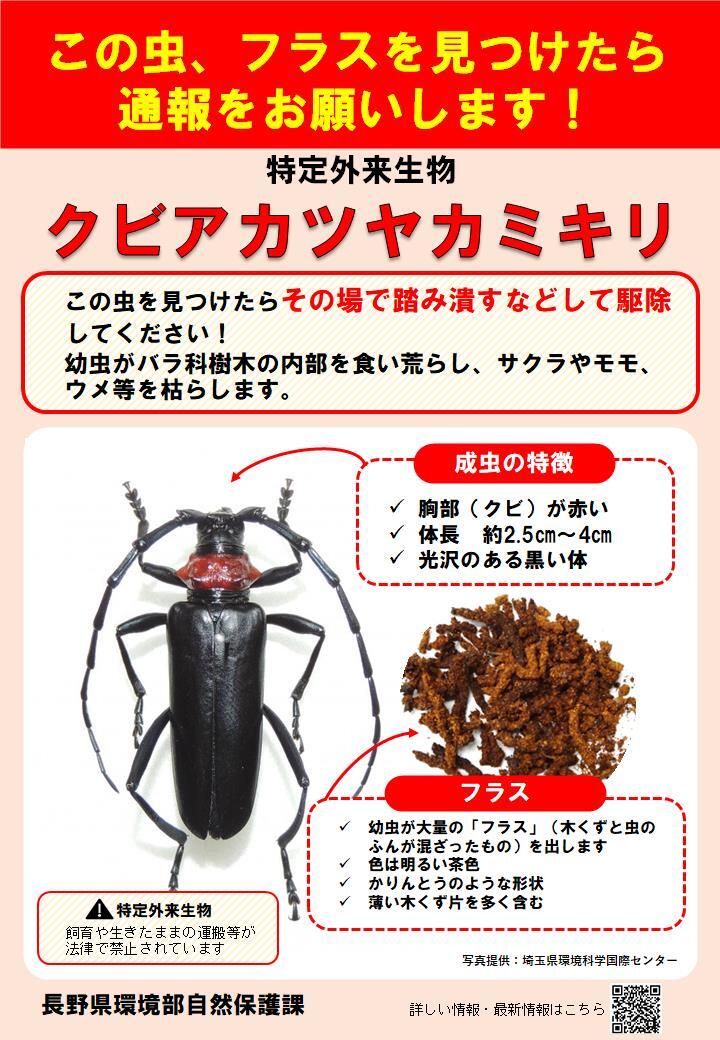 スライド1.jpg