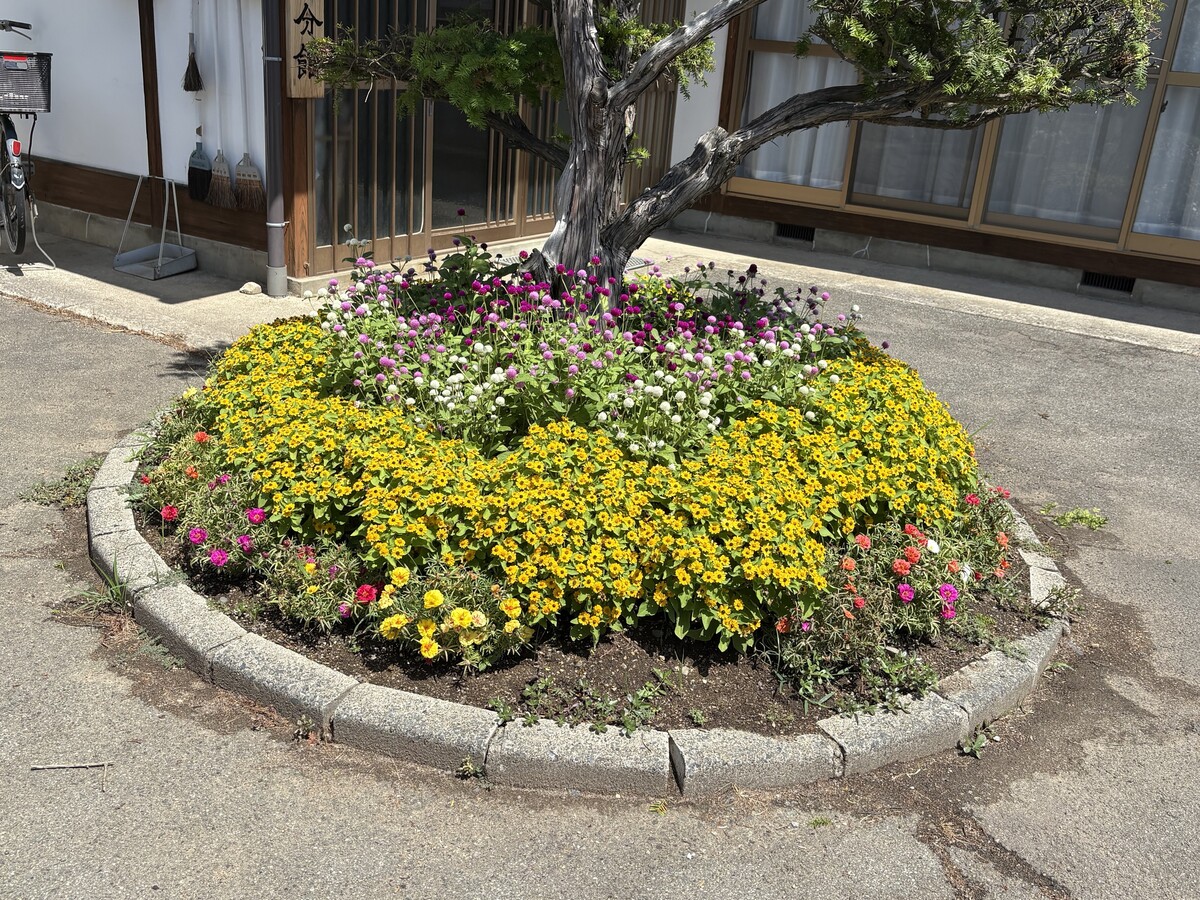 フラワーコンクール_林自治会②.jpg